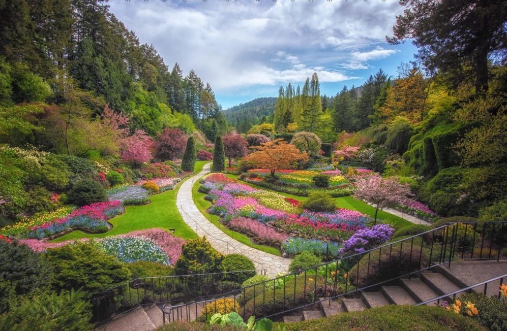 7-Hour Family Adventure: The Butchart Gardens, Malahat Skywalk, City Tour & More!