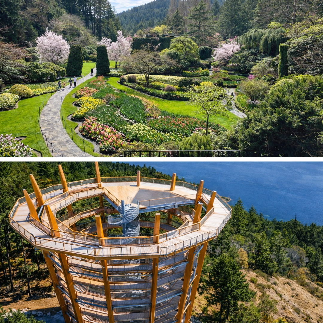 6 hour Tour Butchart Gardens - Malahat Skywalk - City Highlights