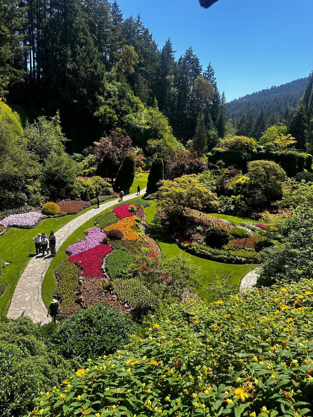 Butchart Gardens Spring & Summer Bloom Highlights (1-5pax)