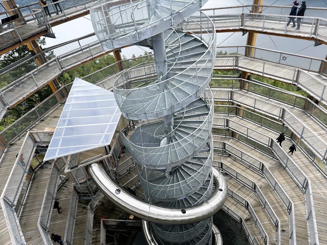 4-Hour Tour: Perfect for All Ages – City Highlights & the New Malahat Skywalk