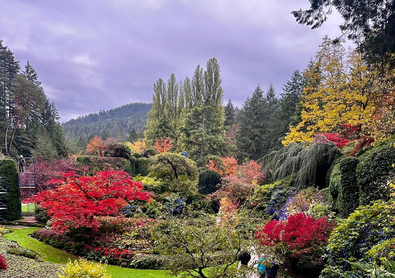 5 Hour Tour The #1 Family Attraction Butchart Gardens And Victoria City Highlights