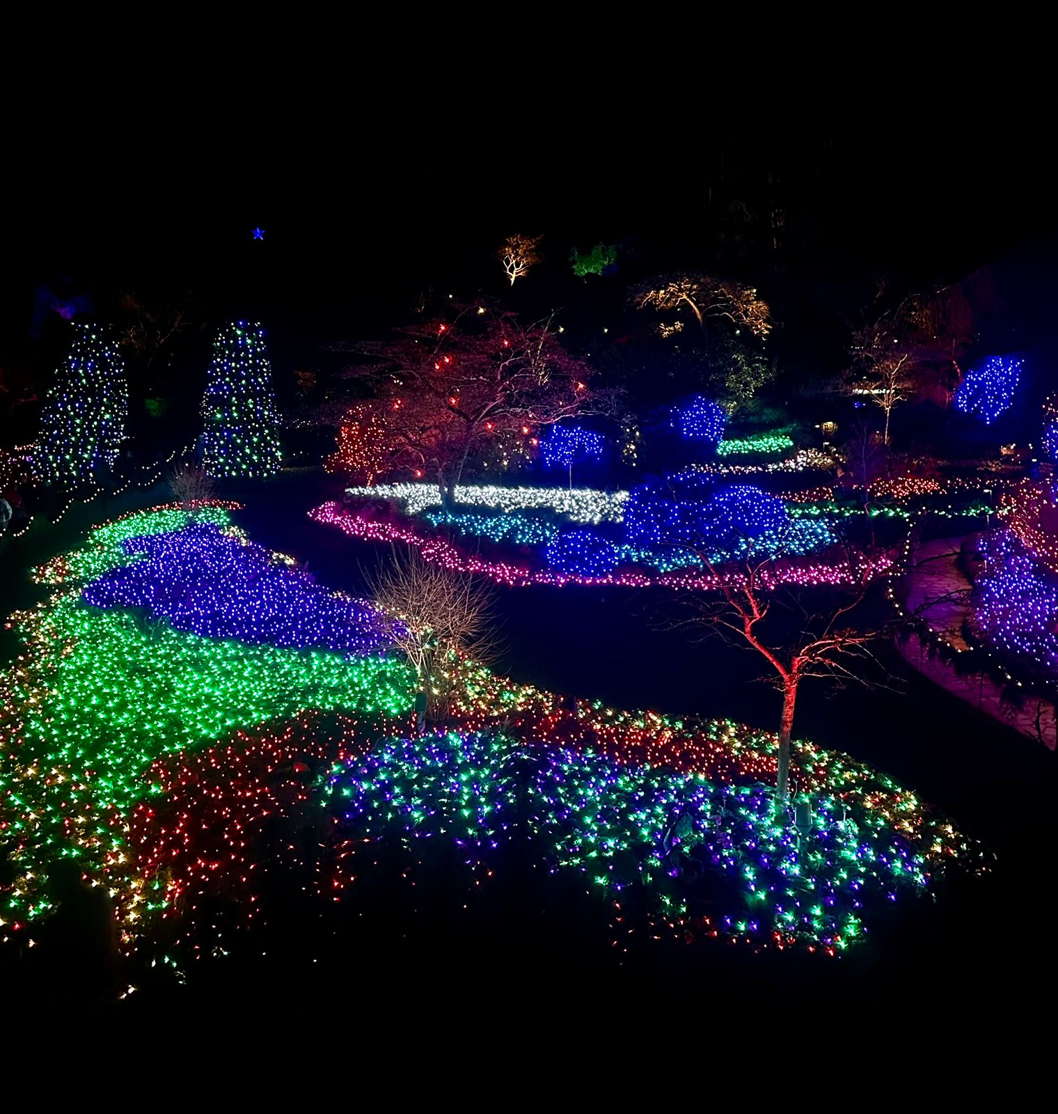 Butchart Gardens Magic of Christmas & Lights of Wonder (1-6pax)