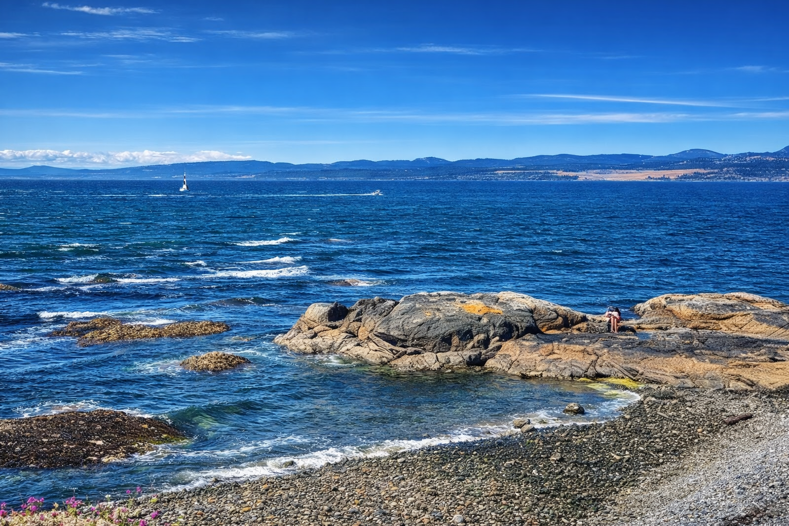 3-Hour Victoria City Highlights: Chinatown, Craigdarroch Castle (1-6pax)